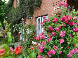 Holiday home, Oevenum - 1