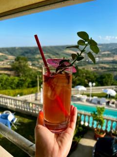 Villa Aniana - Hotel, Relax, Spa - 7