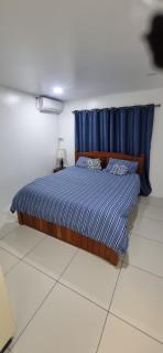Suva Bright & Spacious 3BR & Pool - 4