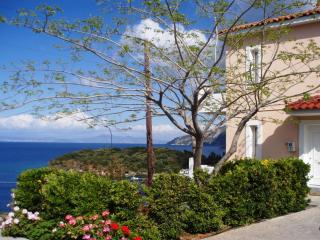 Villa in Samos near Aghia Paraskevi Beach - Agía Paraskeví - 5