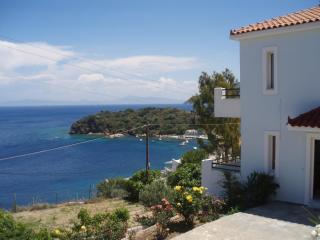 Villa in Samos near Aghia Paraskevi Beach - Agía Paraskeví - 6