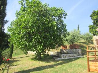Belvilla by OYO Villa Pratini - Castelnuovo di Val di Cecina - 6