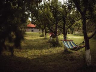 Atmospheric apartment in the countryside, Gronowo - - 7