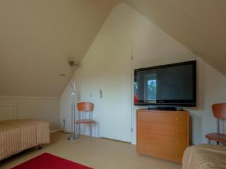 Spacious bungalow near the Frisian Lakes - Sondel - 8