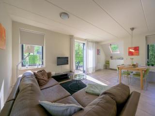 Spacious bungalow near the Frisian Lakes - Sondel - 5