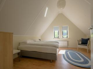 Spacious bungalow near the Frisian Lakes - Sondel - 3