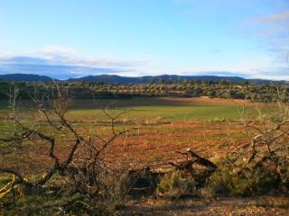 Casa rural Lo Regolfo - 4