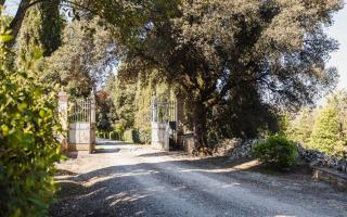 Villa Dolciano - 8
