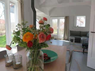 Holiday Home in Dishoek near Southern Beach - Dishoek - 1