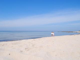 Hasle Holiday Park - Hasle - 3