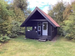 Rødhus Dune Holiday Center - Pandrup - 1