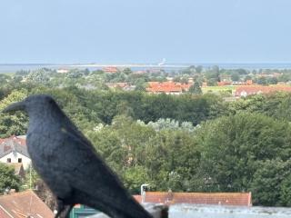 Tief 10 mit beheiztem Pool - Meerengel 1001 - Wangerland - 4