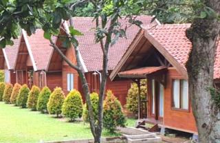 Pavo Resort - Babakan Madang - 5