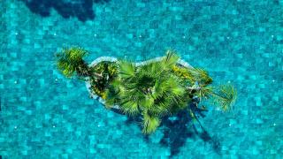 FashionTV Luxe Resort - Kemer - 6