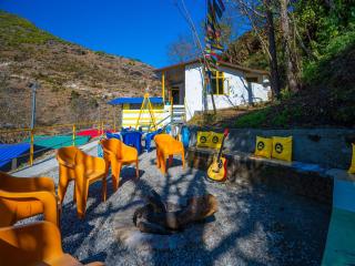 The Hosteller Mussoorie By the Streamside, Kempty - 7
