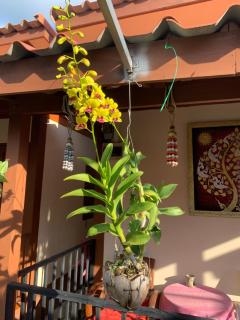 K Khan Garden at Chiang Khan Walking Street - Chiang Khan - 3