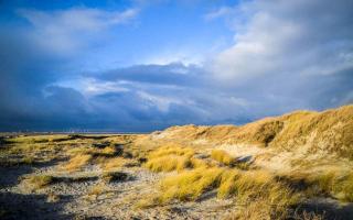 Strandmatte - 3