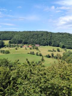 Ferienwohnung Großleiten Alm - 9