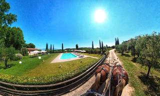 Agriturismo Gli Archi - 4