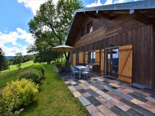 Chalet in Saulxures near Ski Resorts - 0