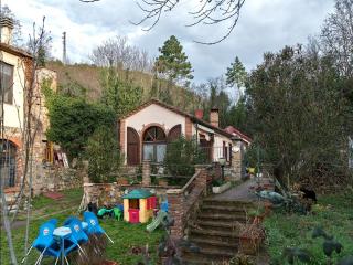 Apartment in Massa Marittima with Pool - 5