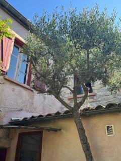 Chambres d'hotes lecortile - 4