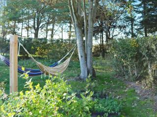 20 person holiday home in Ulfborg - Ulfborg - 3