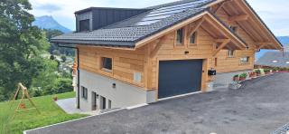 Le Petit Lu - Leysin - 0