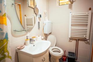 Vila Stara Vodenica - Crni Vrh - 1