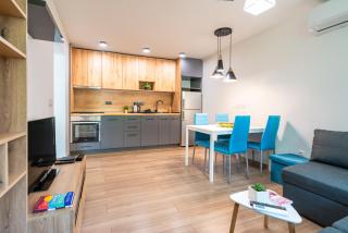 Modern and Cozy 1BDR Apartment in the City Center - 1