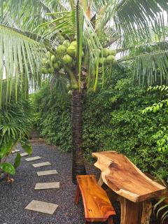 Tropical Hideaway Close to the Beach - 4