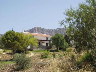 Cottage in Villanueva near Costa del Sol - Villanueva de la Concepción - 3