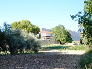 Rustic Retreat in Andalusia - 2