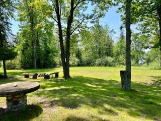 Cozy Private Log Cabin on acreage - - 4