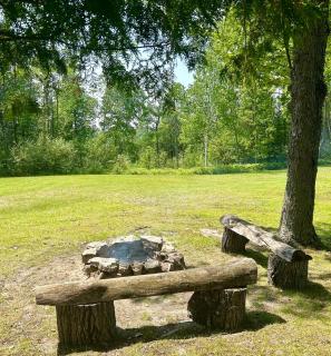 Cozy Private Log Cabin on acreage - - 7