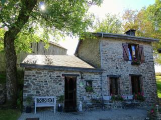 Forest Hideaway, Baillamont - Bièvre - 5