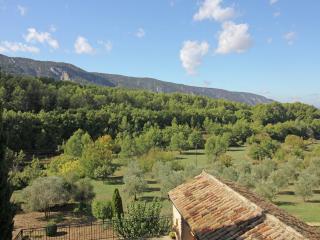 Holiday Home in Oppède with Private Pool - Oppède - 6