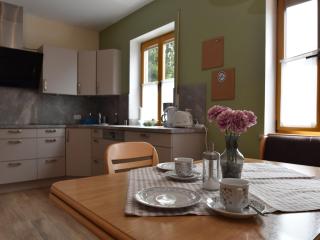 Apartment in Tannesberg mit Balkon - Tännesberg - 1