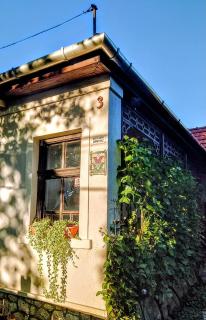 Magnolia Garden - Miskolc - 8