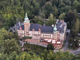 Magnolia Garden - Miskolc - 7