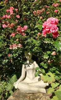 Magnolia Garden - Miskolc - 6