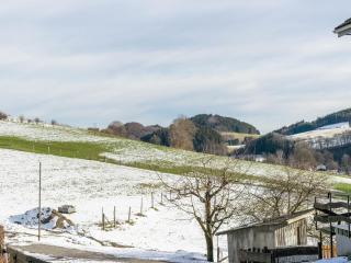Wissinghausen Terrace Apartment - Medebach - 4