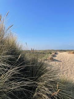SATORI LODGE near the Dunes & the Beach - Zandvoort - 3