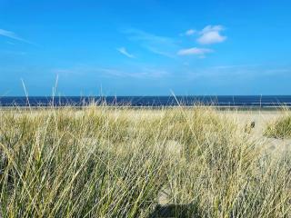 SATORI LODGE near the Dunes & the Beach - 7