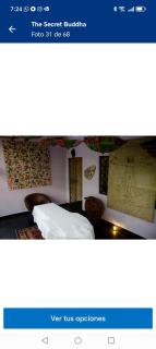 Artsy lush villa with jungle garden in the city - 5