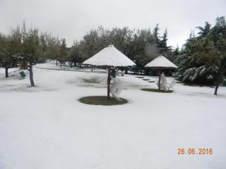 Campo Las Tinajas - Merlo - 1