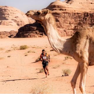 RUM MAGIC BUBBLE lUXURY CAMP - Wadi Rum - 3