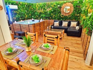 BALI SPA-4 Pers-Jacuzzi-Parking-Jardin-Clim-Colmar - 9