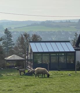 Paradies in der Vulkaneifel - Panorama-Blick und Wintergarten für jedes Wetter - 9