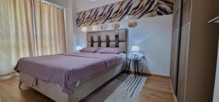Srna Lux in the city with free parking - Skopje - 9